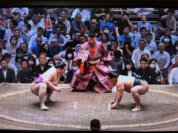 「溜席の妖精」の素顔は？2023年9月場所今日のお姿は？！ 芸能エンタメ情報局